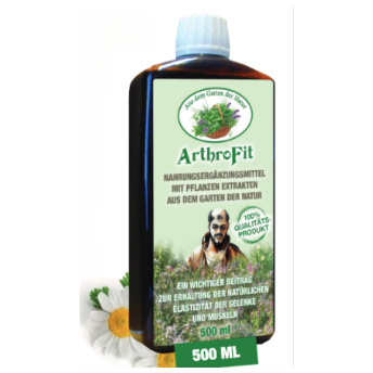 1 Flasche ArthroFit 500ml