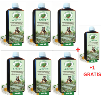 6 Flaschen ArthroFit je 500ml +1 Flasche gratis